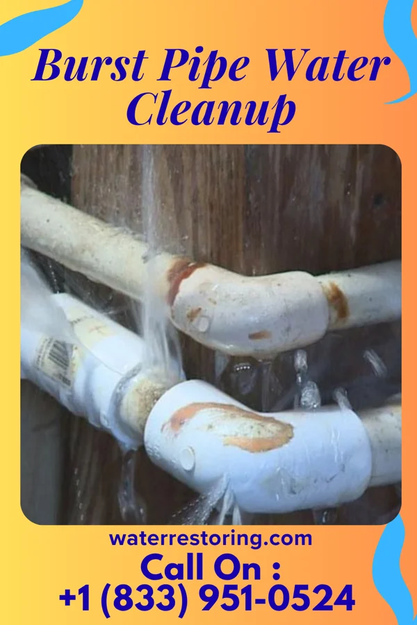 Burst Pipe Water Cleanup in Arnold, NE