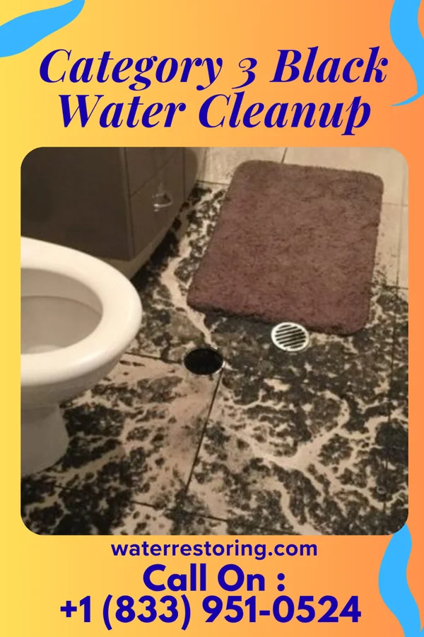Category 3 Black Water Cleanup in Arnold, NE