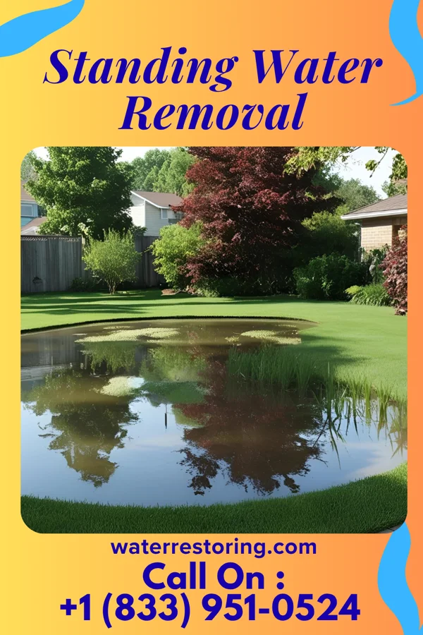 Standing Water Removal in Arnold, NE